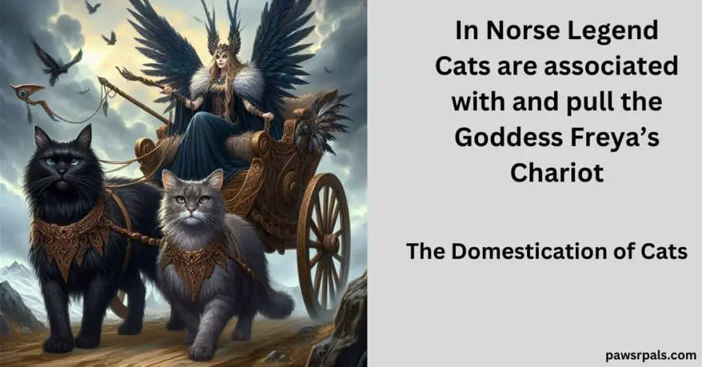 In Norse Legends Cats Are Associated with and pull the Goddess Freya's Chariot. The Domestication of Cats. Image of Goddess Freya with winged helmet and feather cloak in a chariot being pulled by one black and one grey Norwegian Forest Cat