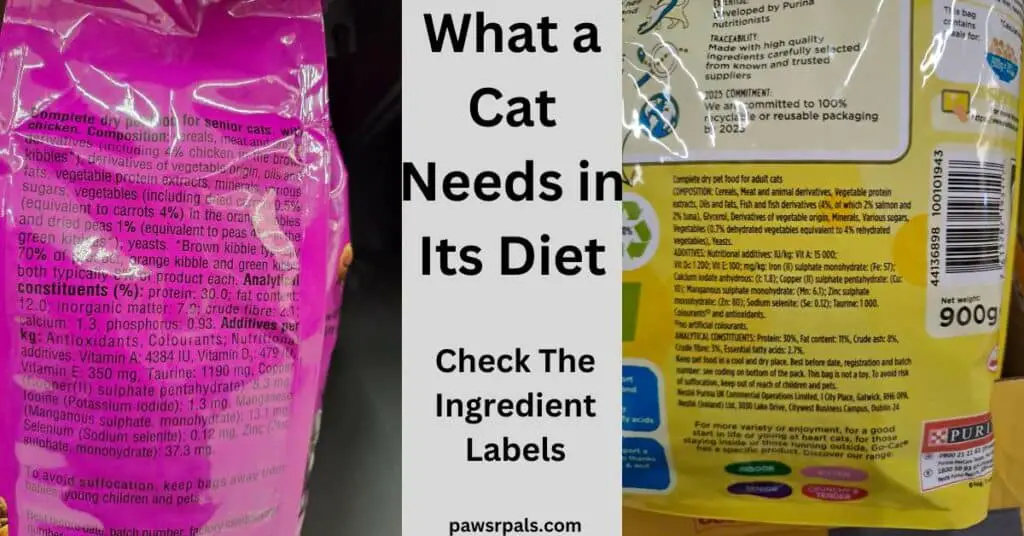 What a cat needs in its diet. Check the ingredient labels. two commercial cat food ingredient labels