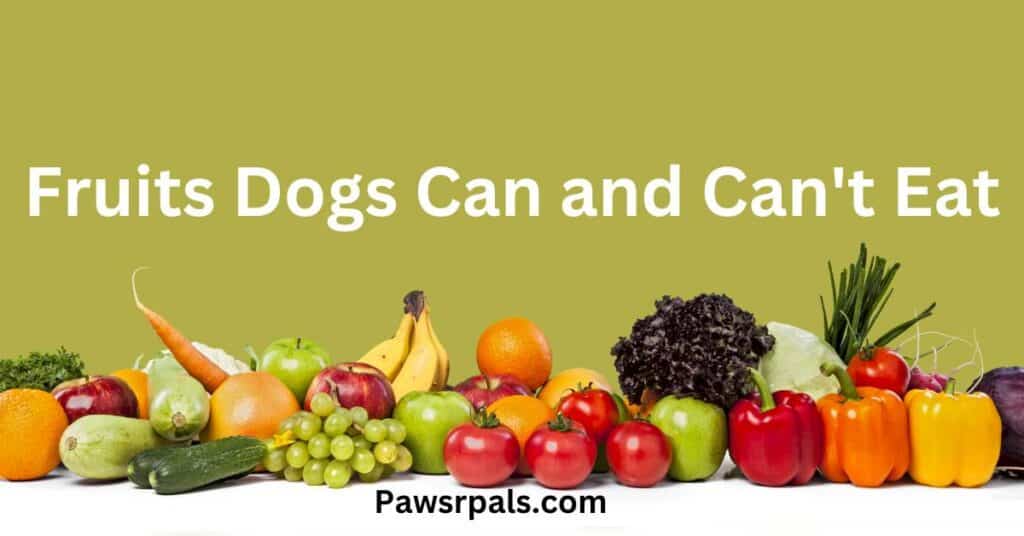 Other Fruits Dogs Can and Can't Eat. Picture of various fruit and veg.