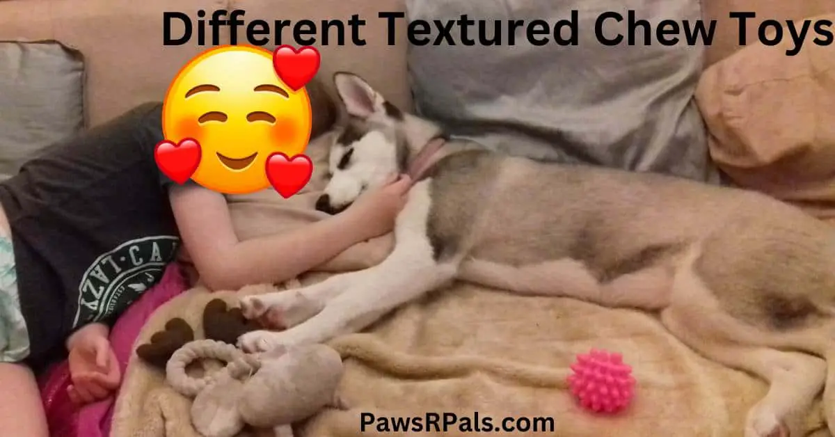 Different Texture Chew Toys. Child with dark grey t-shirt and blue image on it, heart emoji covering face, lying on a cream sofa covered with pink fluffy throw, arm bent at 90 degree angle, hand on shoulder of Luna, grey and white siberian husky lying on its side facing child, on a cream fluffy throw, chew ring and pink textured ball on the sofa below them both
