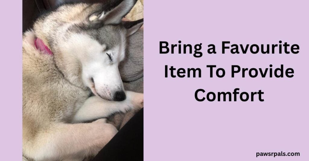 Bring a Favourite Item To Provide Comfort. Image on the left, Luna the grey and white siberian husky, wearing a pink collar, lying on her side, sleeping with front paws near her head, on a grey fluffy blanket