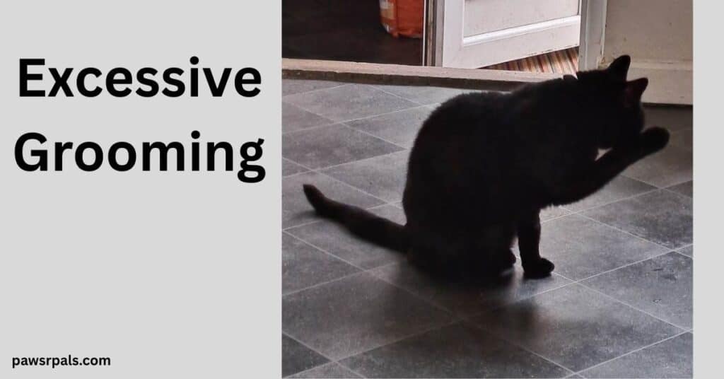 Excessive Grooming. Pickles the black cat, sat on grey tiles, facing right, front paw up towards head, licking the paw
