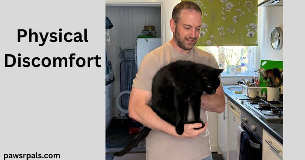 Physical Discomfort. Man with short brown hair, baird and moustache holding Pickles the black cat in front of him, left arm cradling Pickles back legs right arm holding Pickles under his front legs. Green patterned window blind in the background