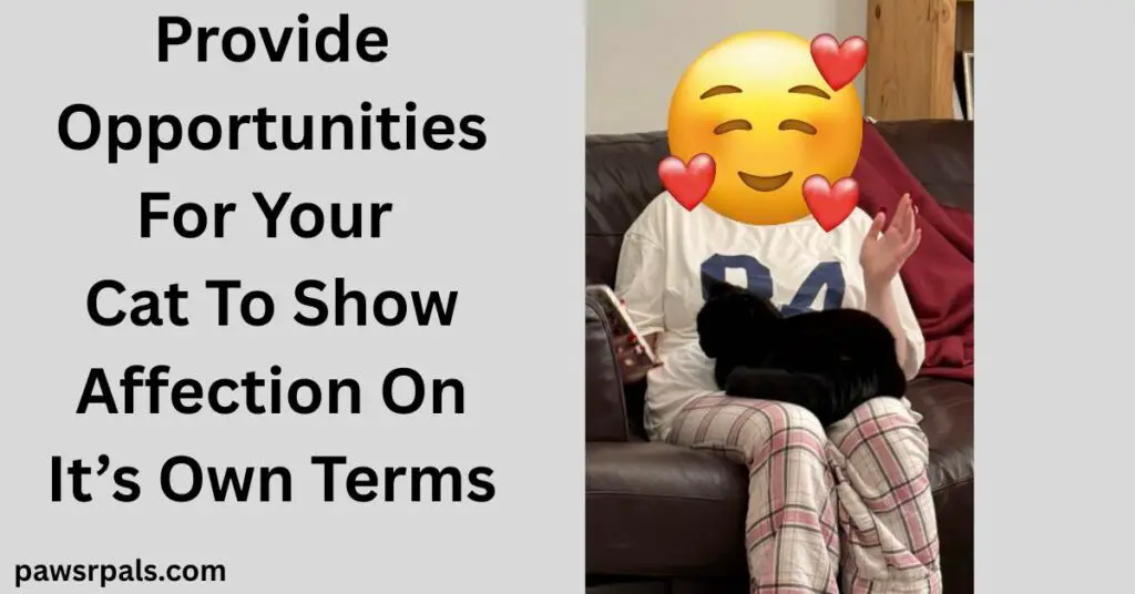 Provide Opportunities For Your Cat To Show Affection On It's Own Terms. Pickles the black cat curled on the lap of a girl wearing pink, white and grey checked trousers and white tshirt with blue numbers, holding a mobile phone in left hand sitting on a brown leather sofa with a red blanket in the background