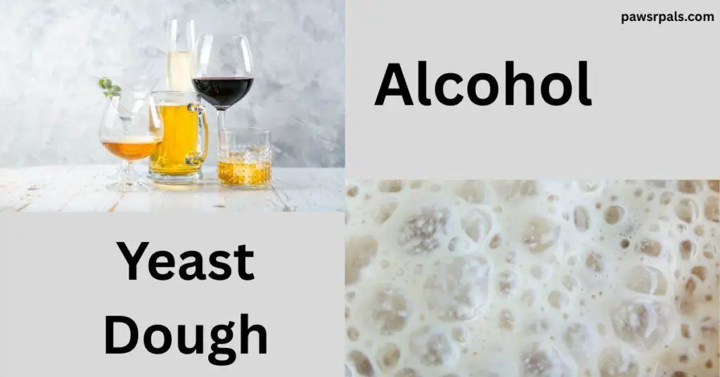 Alcohol. Yeast Dough. Image top left different shaped glasses with different beverages grouped together. Image bottom right, yeast bubbling