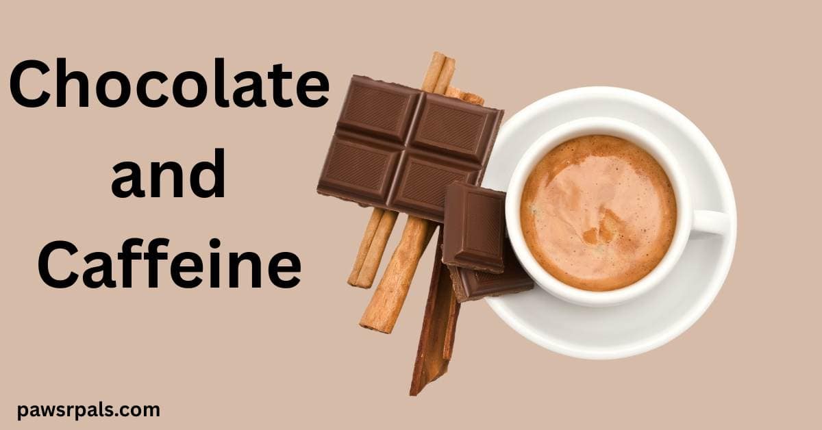 Chocolate and Caffeine. Round white tea cup on a round white saucer, with milky coffee inside, pieces of chocolate on the side