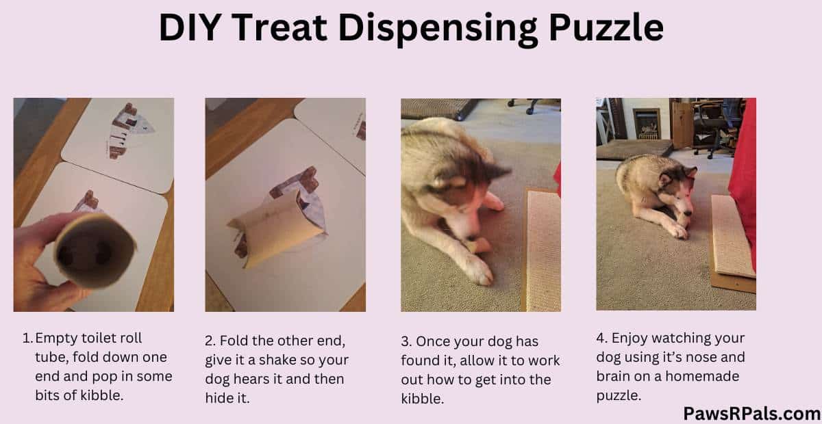 DIY Treat Dispensing Puzzle. Step by step images of a toilet roll cardboard tube, folded with kibble inside, then Luna the grey and white Siberian Husky, opening the tube, lying on a cream carpet next to a rope cat scratcher. Pale pink background