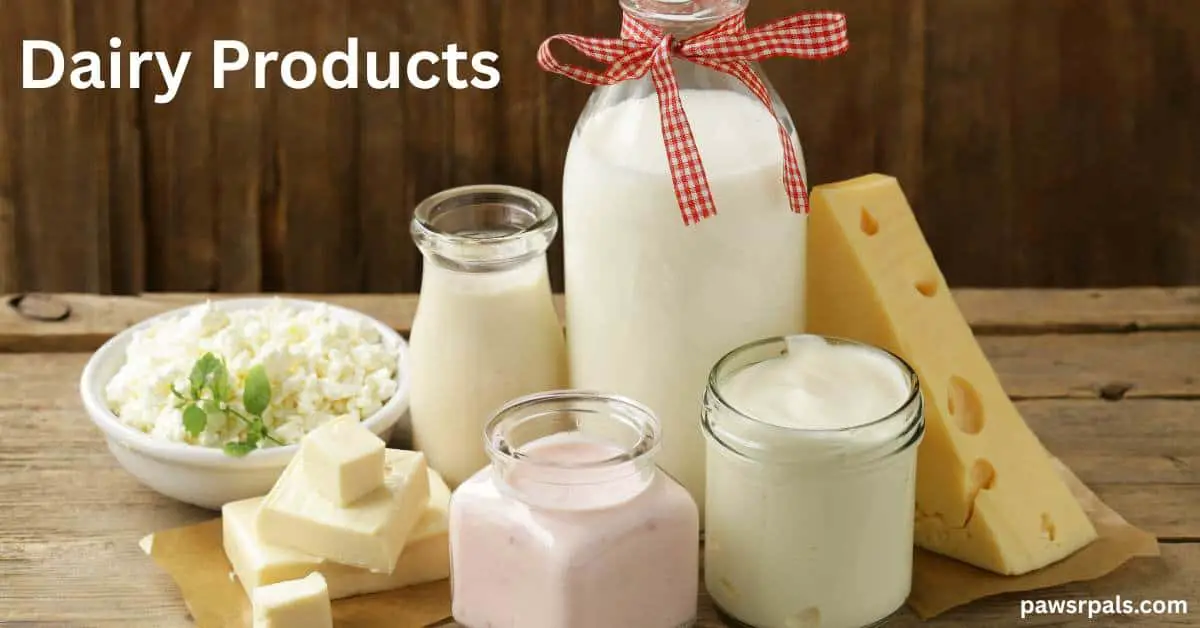 Dairy Products. Bottle of milk with a red checked ribbon tied in a bow around the neck of the glass bottle, next to a small jars of yogurt and cream, butter, small bowl of curds and hard cheese