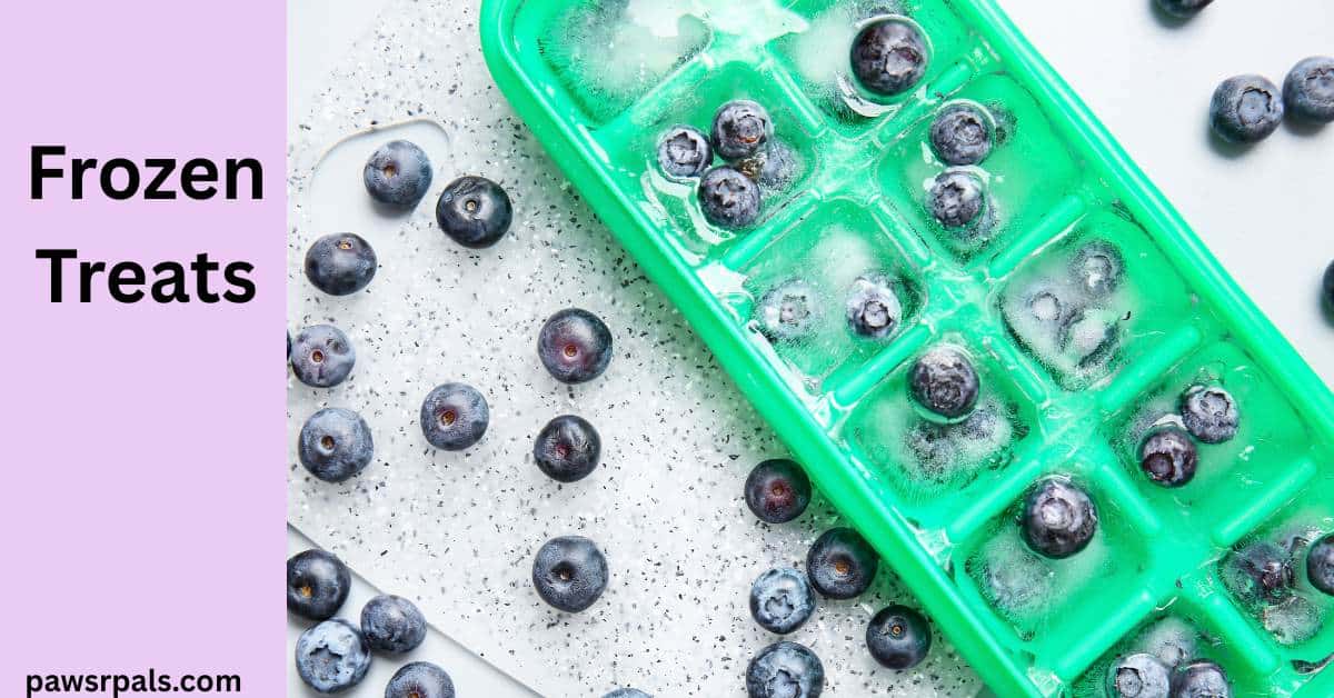 Frozen Treats. Image on right, green ice cube tray with blueberries in and around it, with ice cubes