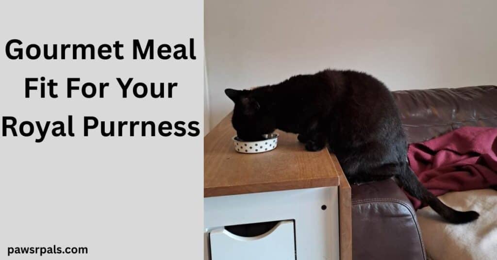 Gourmet Meal Fit For Your Royal Purrness. Pickles the black cat back end sitting on the arm of a brown leather sofa, front paws on a brown and white wooden table, head over a small round white with grey dots food bowl eating