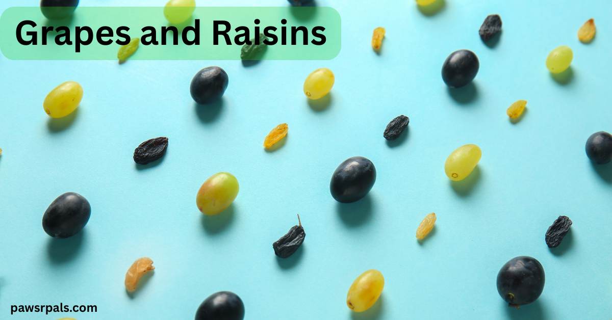 Grapes and Raisins. Black and green grapes alternating with raisins in a diagonal line across a blue background