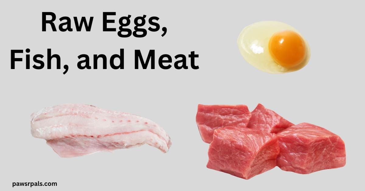 Raw Eggs, Fish, and Meat. Image top right of raw egg, bottom right, raw cubes of beef, image bottom left raw fillet of fish on a pale grey background
