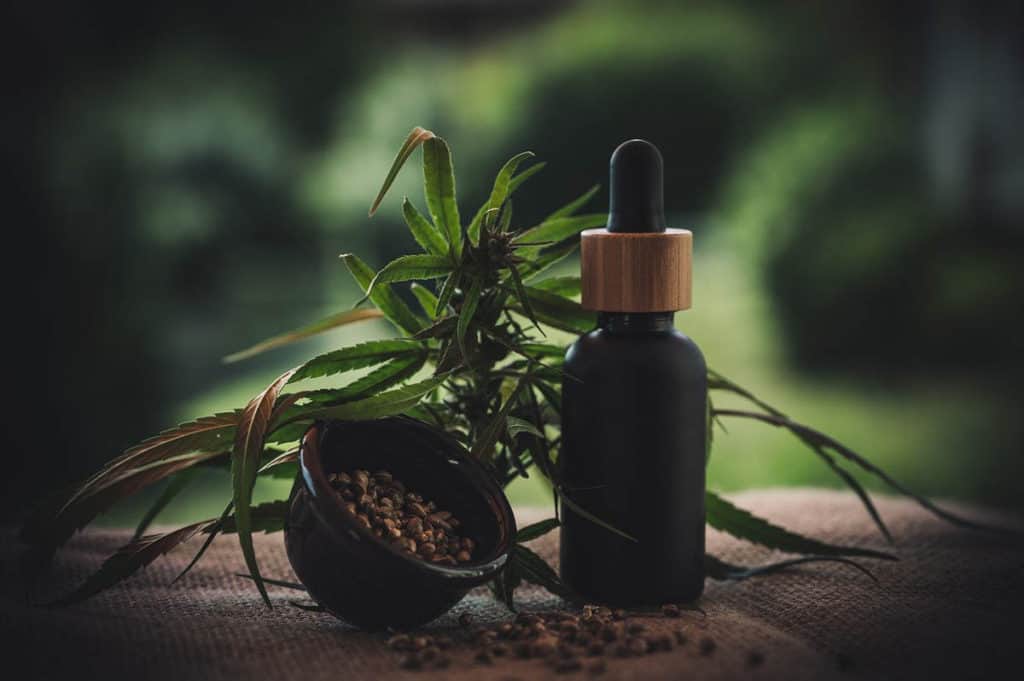 Can I Use CBD Oil For My Dog. A black bottle of CBD oil with a gold and black pipette lid sits on a burlap cloth next to a green plant and a black pot with seeds, with greenery in the background.