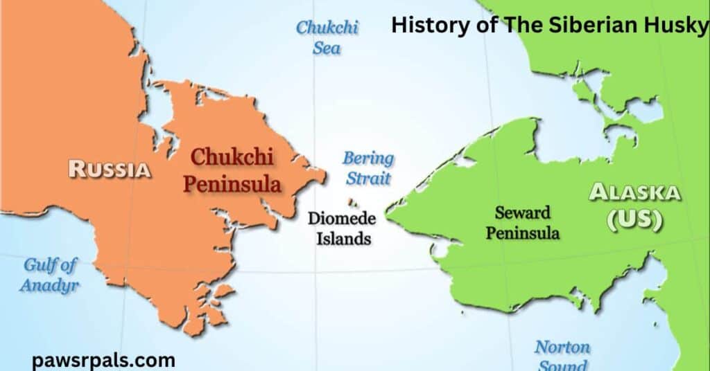 History of The Siberian Husky. Map of the Chukchi Peninsula and Seward Peninsula.