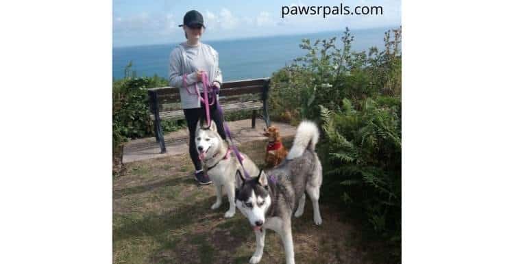 My daughter Holly loose lead, holding 2 huskies