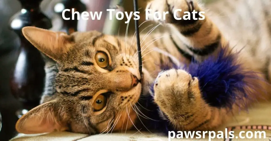 Chew Toys For Cats. Brown- and black-striped cat lying on its side, with a black string in its mouth and a purple feather toy held in it's front paws.
