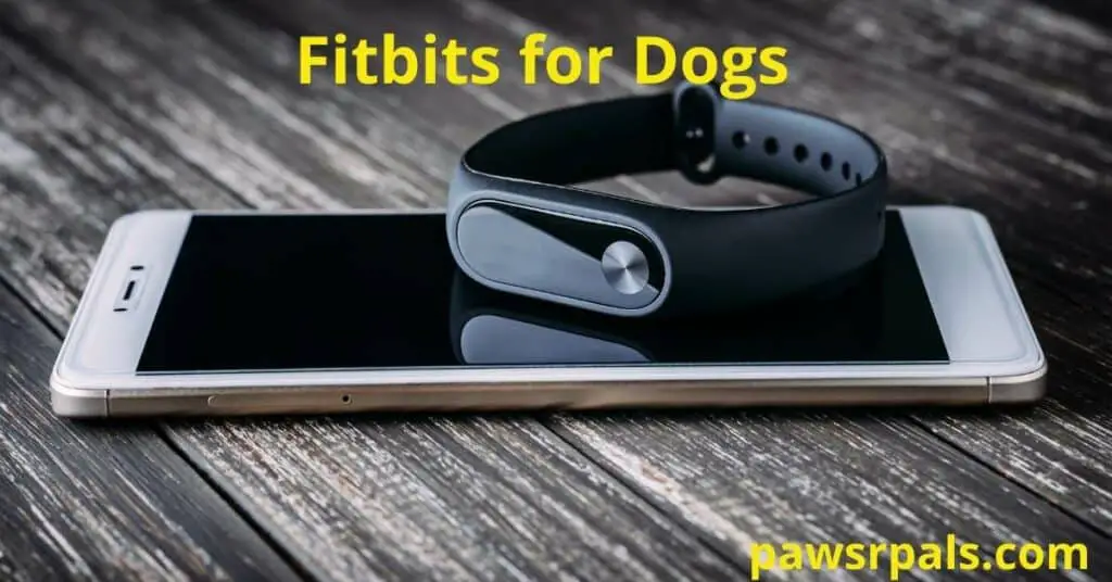 Fitbits for dogs. Image of a black watch/fitbit type wristband sat on top of a white smartphone, sat on a wooden slat table.
