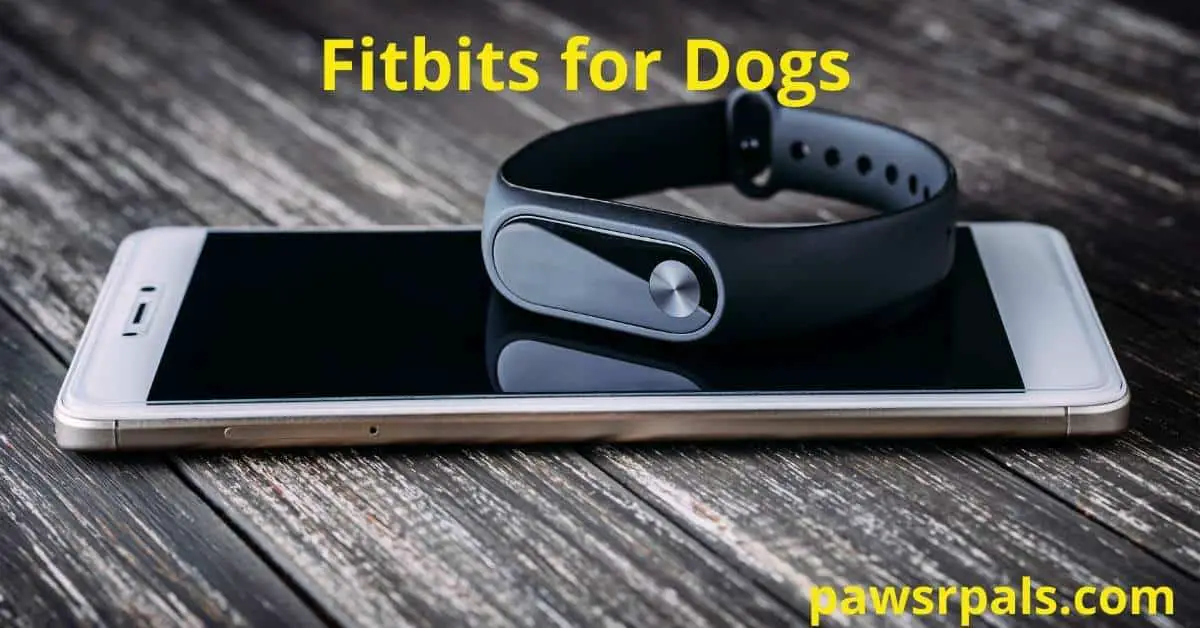 Fitbits for Dogs