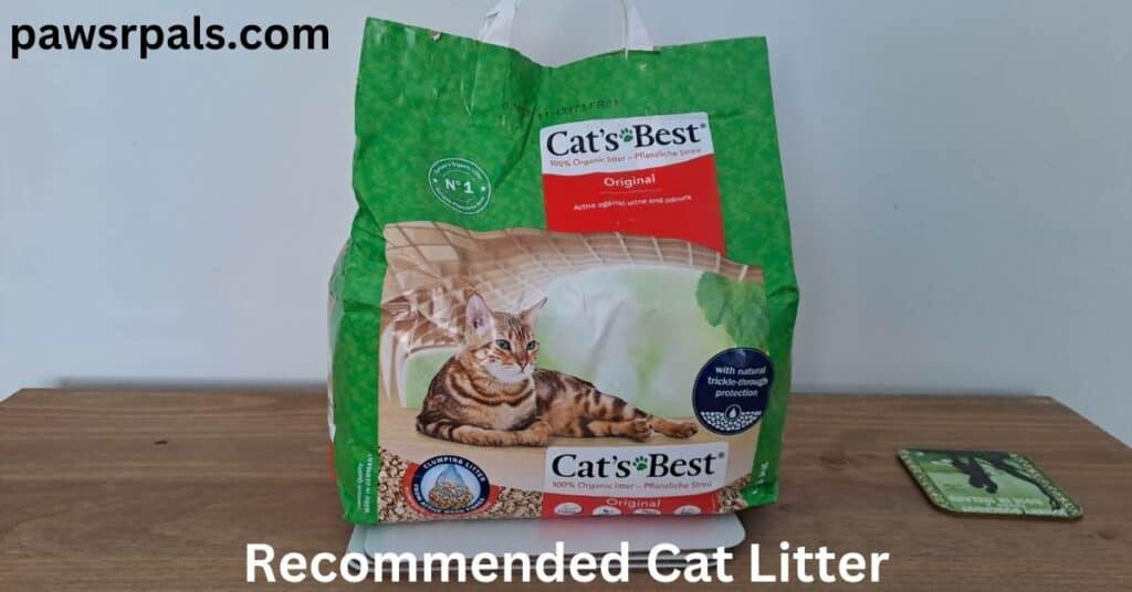 Recommended car litter