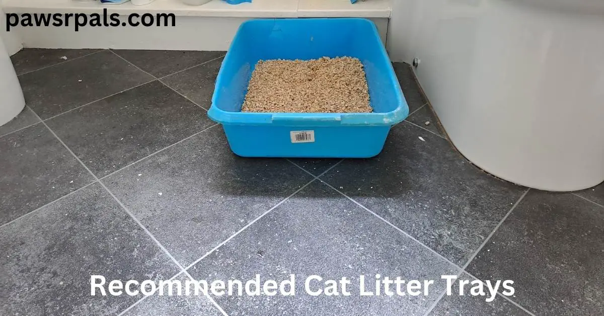 Recommended cat litter tray