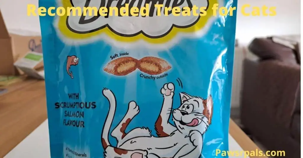 Dreamies cat treats