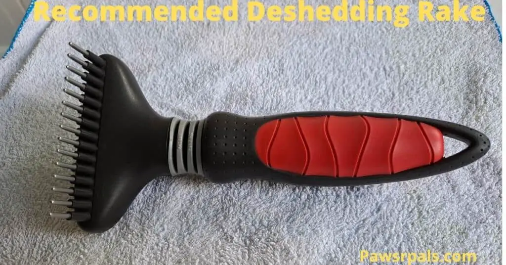 recommended deshedding rake