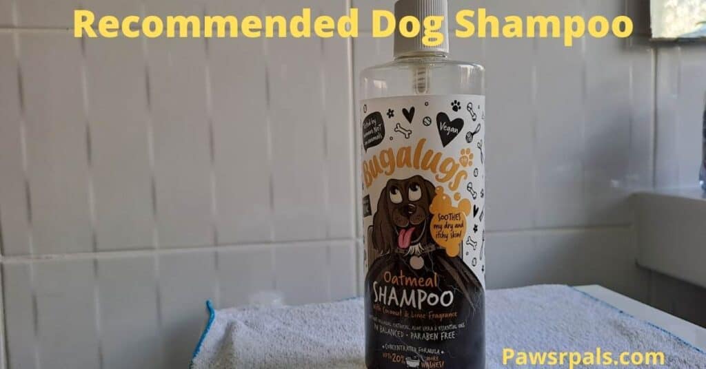 Bugalugs Dog Shampoo