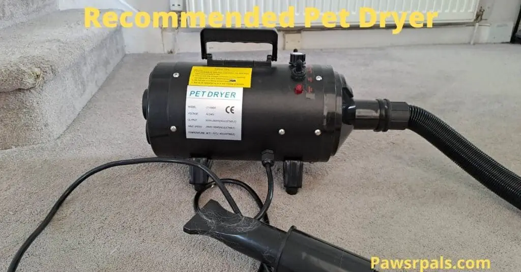 recommended pet dryers
