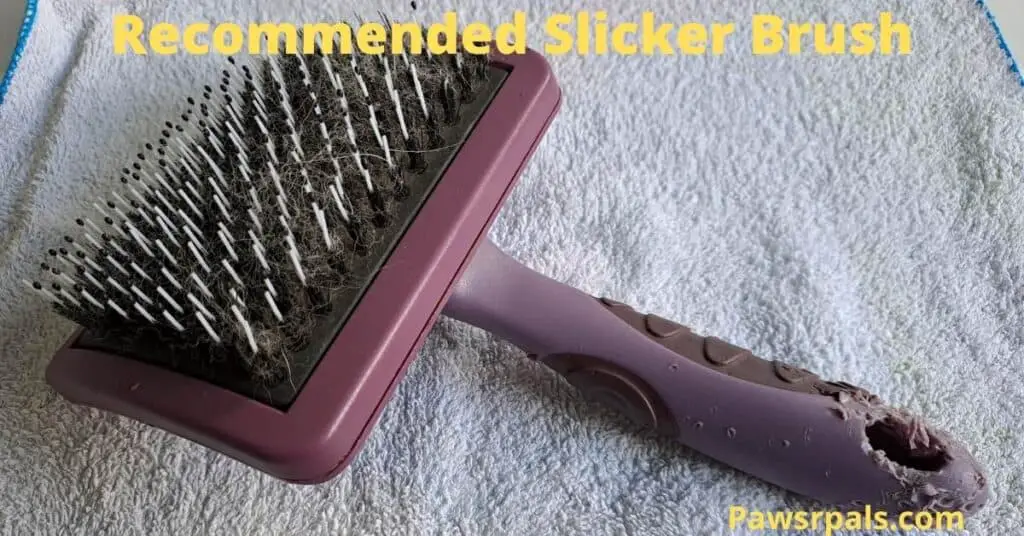 recommended slicker brush
