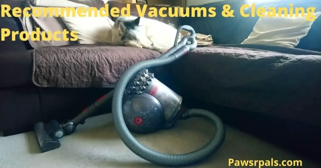 recommended vacuums and cleaning products