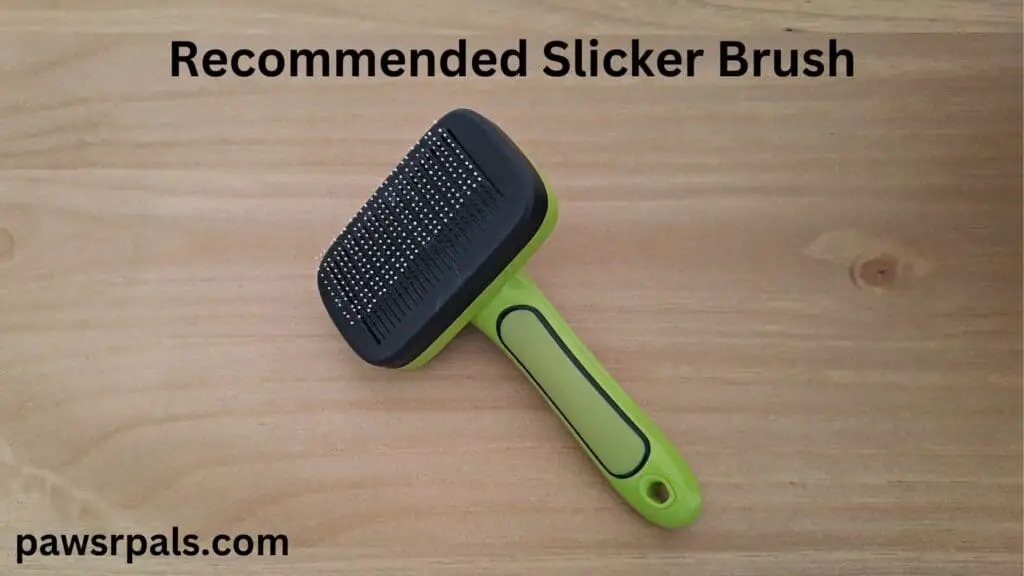 Pecute Slicker Brush