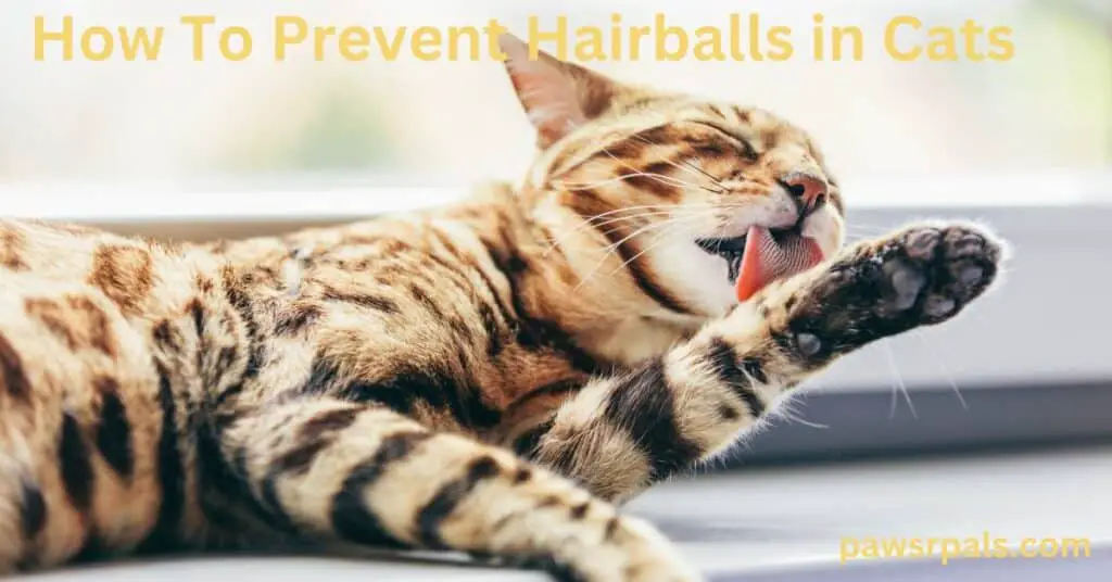 How To Prevent Hairballs in Cats. A Bengal cat lying on a grey ledge licking its front paw.