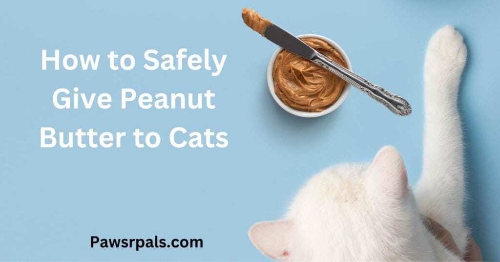 How to Safely Give Peanut Butter to Cats, written in white. There is a cat reaching for a bowl of peanut butter.