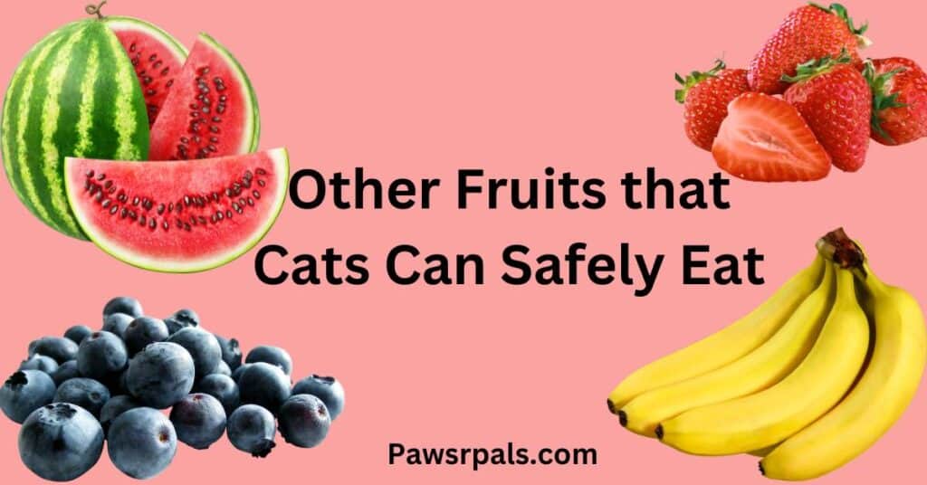 Other Fruits that Cats Can Safely Eat, written in black. There are images of Watermelon, Strawberries, bananas, and Blueberries.