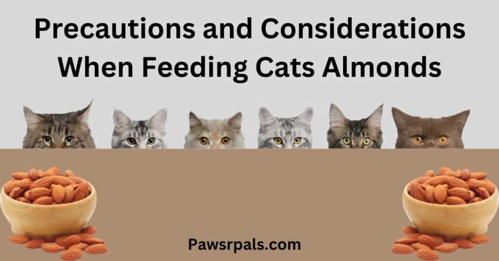 Precautions and Considerations When Feeding Cats Almonds, written in black. There are six cats looking at two bowls of almonds.