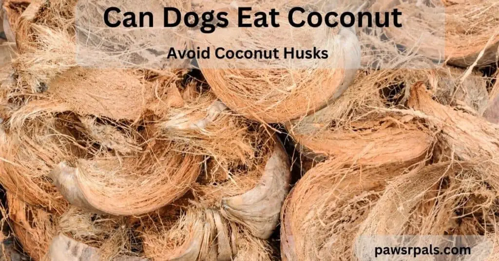 Can dogs eat coconut. Avoid coconut husks. Coconuts husks