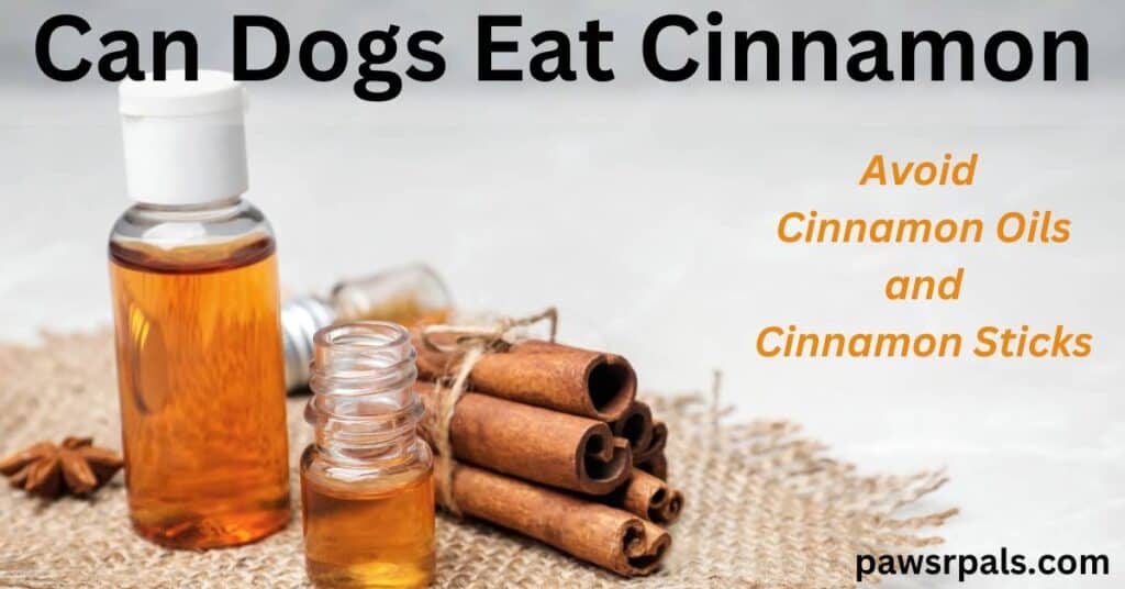 Can dogs eat cinnamon. Cinnamon essential oil in a bottle next to cinnamon sticks on a piece of brown clothe with a grey background. avoid cinnamon oil and cinnamon sticks