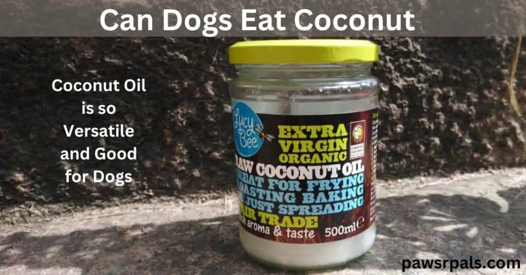 Can dogs eat coconut. Coconut oil is versatile and good for dogs. Jar of coconut oil
