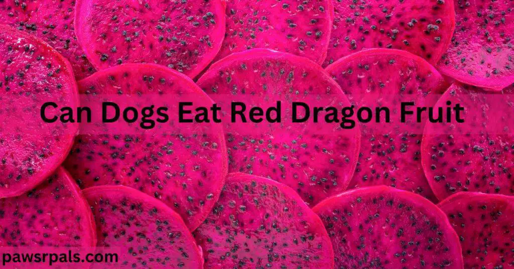 Can dogs eat red dragon fruit. slices of red dragon fruit
