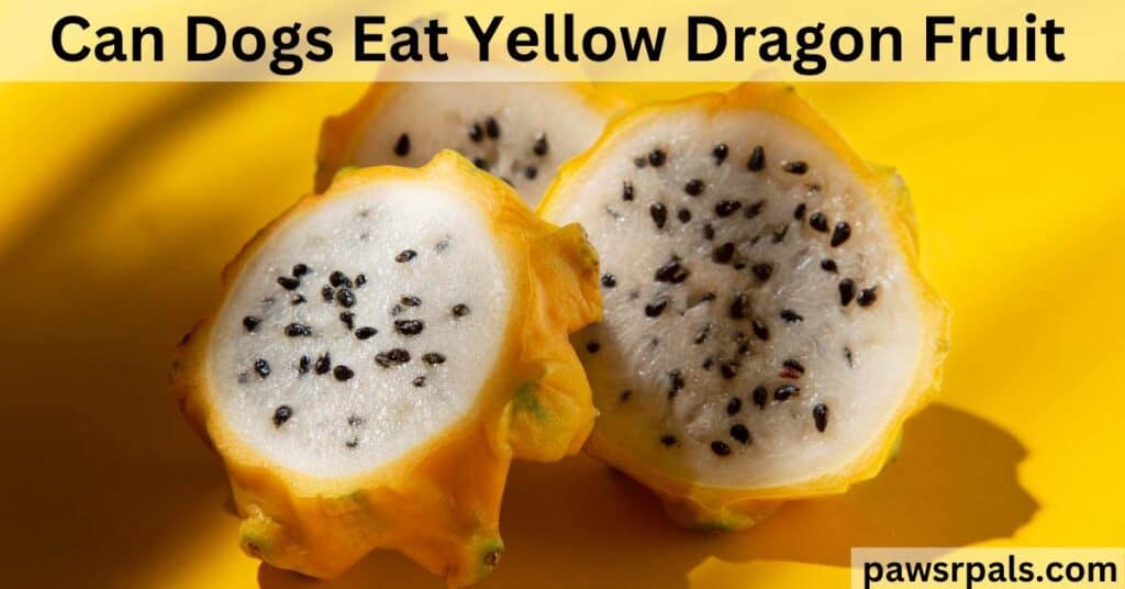 Can dogs eat yellow dragon fruit. Three half yellow dragon fruits, on a yellow background