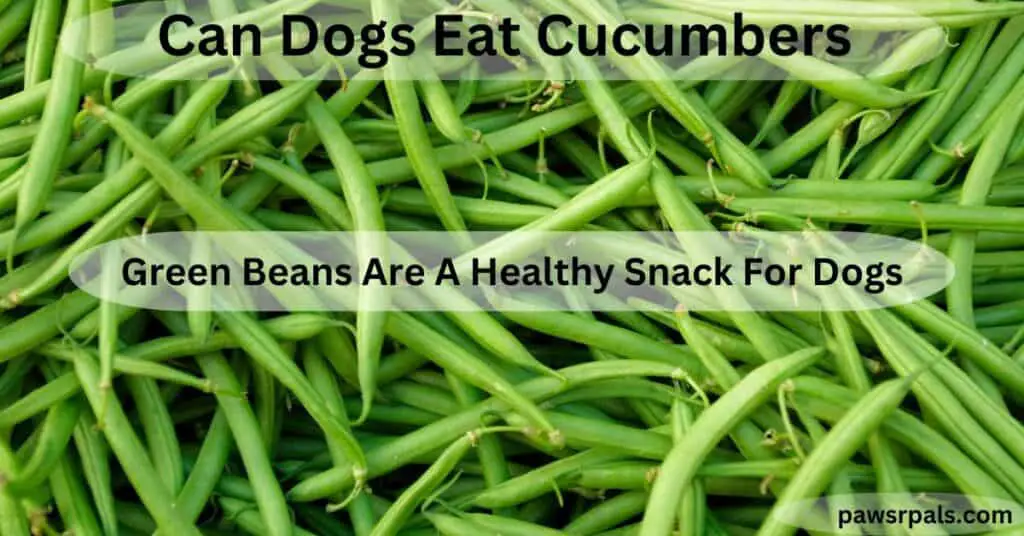Can Dogs Eat Cucumbers. Green Beans Are a Healthy snack for dogs. green beans background