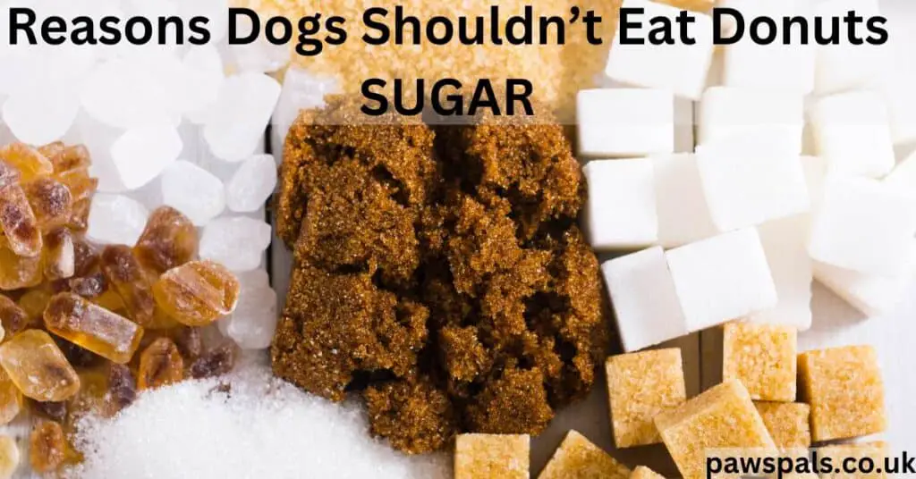 reasons dogs shouldn't eat donuts SUGAR