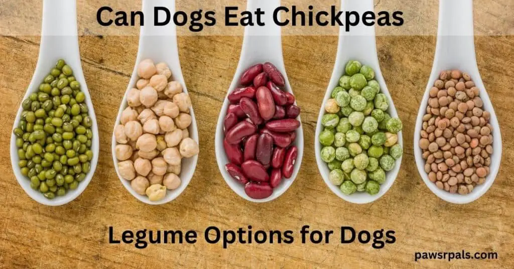 white spoons on a wooden table, with various legumes. Can dogs eat chickpeas. legume options for dogs