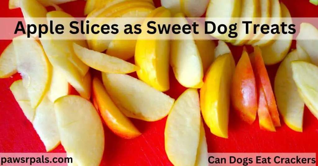 Can Dogs Eat Crackers. Apple Slices as Sweet Dog Treats. Cored yellow and red apples sliced into think slices, on a red background