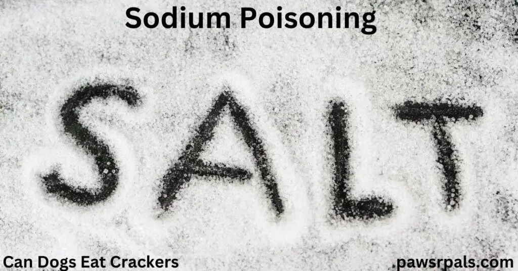 Sodium Poisoning. Can Dogs Eat Crackerss. Salt on a black background with the word SALT drawn in it