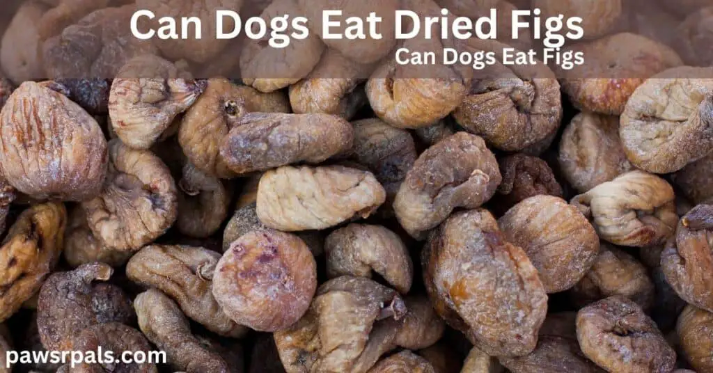 Can Dogs Eat Dried figs. Can dogs eat figs. lots of dried figs