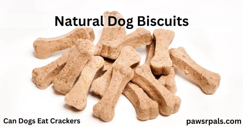 Natural Dog Biscuits. Can Dogs Eat Crackers. Dog Bone shaped biscutes