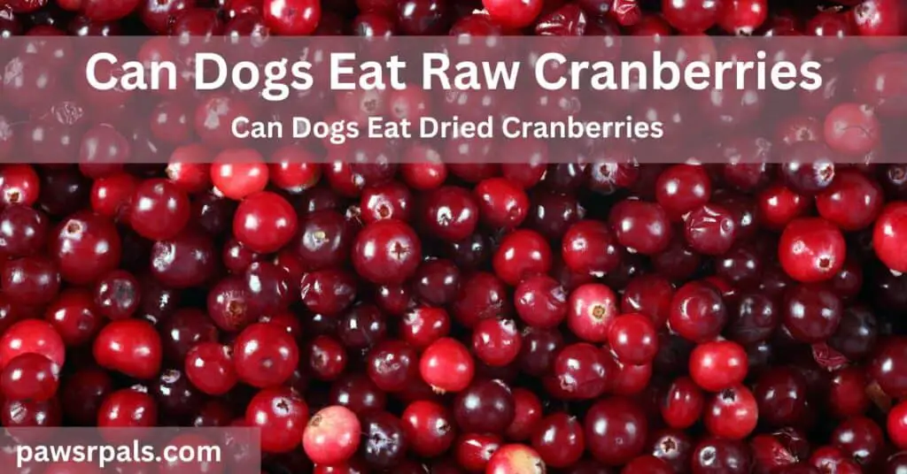 Can Dogs Eat Raw Cranberries. Can dogs eat cranberries. whole cranberries