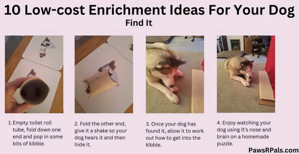 10 low cost enrichment ideas for your dog. Step by step images of a toilet roll cardboard tube, folded with kibble inside, then Luna the grey and white Siberian Husky, opening the tube, lying on a cream carpet next to a rope cat scratcher. Pale pink background
