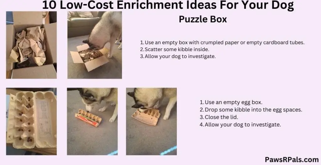 10 low cost enrichment ideas for your dog. Puzzle box. Cardboard box with crumpled paper and kibble inside, and Luna the grey and white siberian husky sniffing out the kibble. An egg box with kibble inside, and Luna the grey and white siberian husky nosing open the egg box and eating the kibble. Pale pink background.